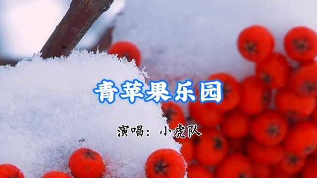 小虎队经典歌曲【青苹果乐园】请欣赏!小虎队