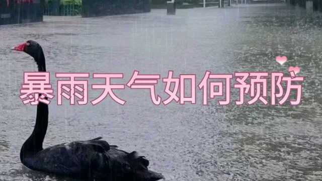 暴雨天气如何躲避危险