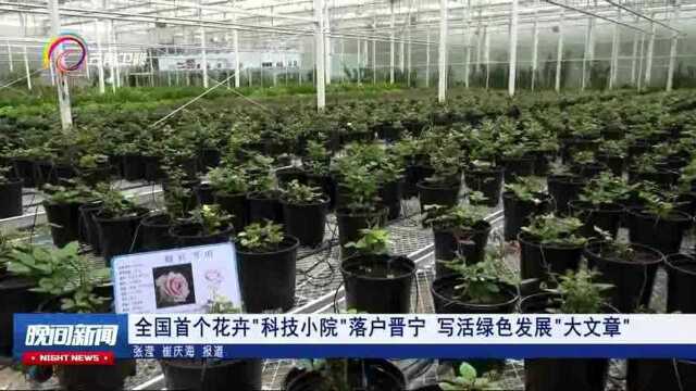 全国首个花卉“科技小院”落户晋宁 写活绿色发展“大文章”