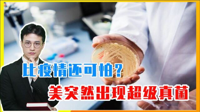 比疫情还可怕?美突然出现超级真菌,上百人感染,中国必须警惕