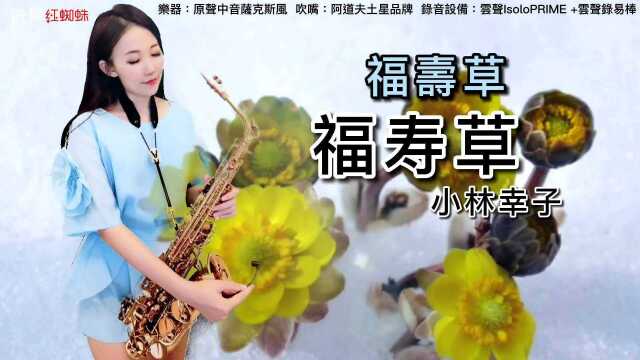 台湾萨克斯风演奏家王云希示范演奏《福寿草》