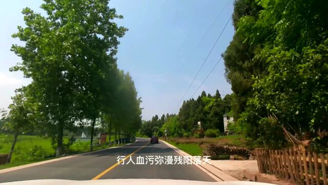 本君VLOG 记录重庆潼南相关风景 超清4K视频旅游 21版本第 (62)