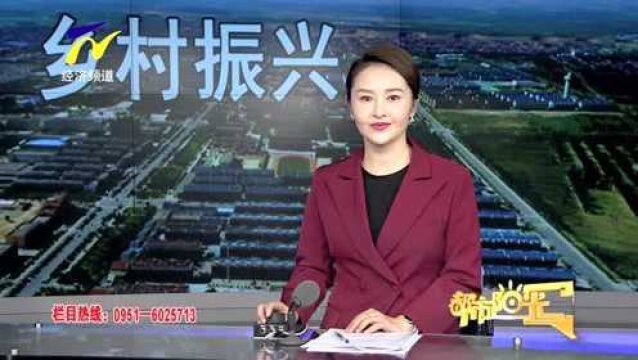 【阳光关注】闽宁镇:在乡村振兴的康庄大道上阔步前行