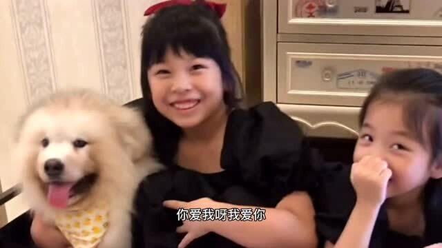 这么可爱的阿拉斯加犬宝宝,人见人爱,大家都喜欢和它在一起!