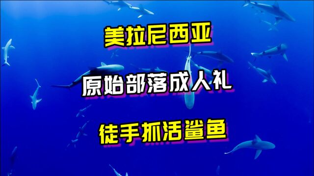 美拉尼西亚原始部落不一样的成人礼,一人驾着小船海中活捉鲨鱼