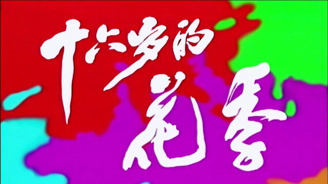 1989年电视剧《十六岁的花季》片头片尾插曲 修复高清字幕版