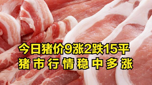 今日生猪价格9涨2跌15平,猪市整体处于“稳中多涨”态势