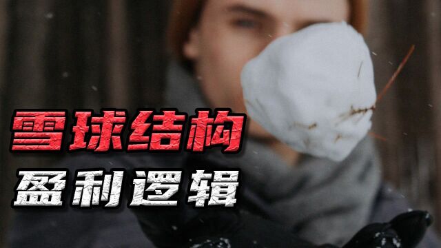 雪球结构获利真相,结构两端的“卖保险者和买保险者” #财经热榜短视频征集#