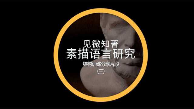 素描语言研究:结构训练 之示范过程