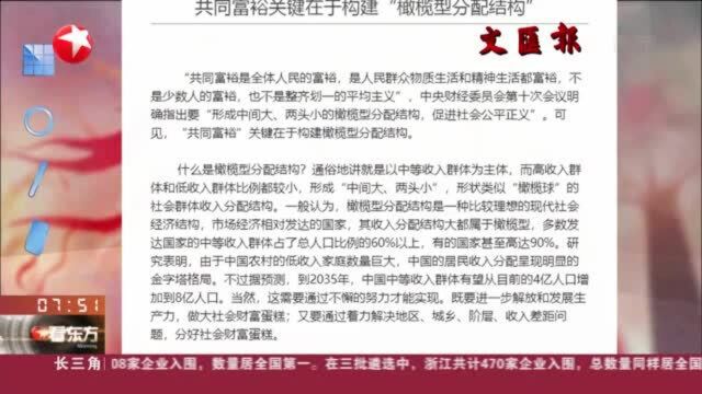 文汇报:共同富裕关键在于构建“橄榄型分配结构”