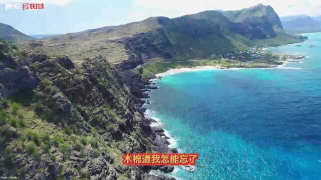 她的歌曲总是透露着青春洋溢!孟庭苇翻唱《木棉道》