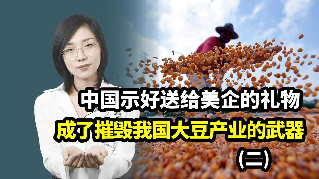 中国示好送给美企的礼物,竟成了他们摧毁我国大豆产业的武器(二)