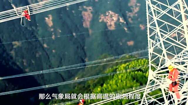 王老吉X中国气象报社 风雨无惧,冷暖先知,致敬气象人