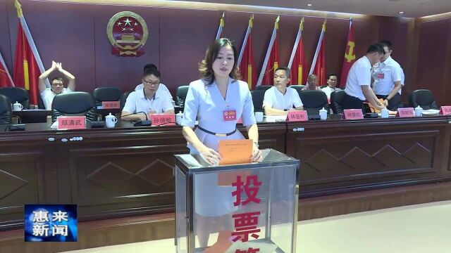 华湖镇召开人民代表大会