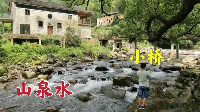 浙江农村一世外桃源般村庄,山环水抱风景如画,来这里租个房子养老可好