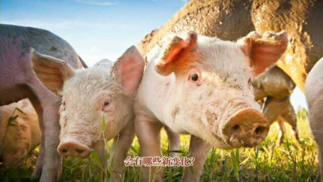 粮食价格要变天了?粮食牛羊猪肉价格冰火两重天?