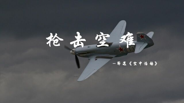 一场发生在空中的枪杀案太平洋西南航空1771事件,纪录片