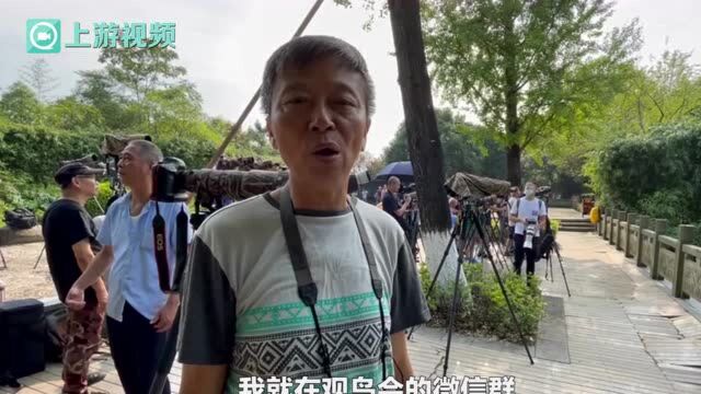 “稀客”鹊色鹂首次现身重庆!全球不超过2500只!!