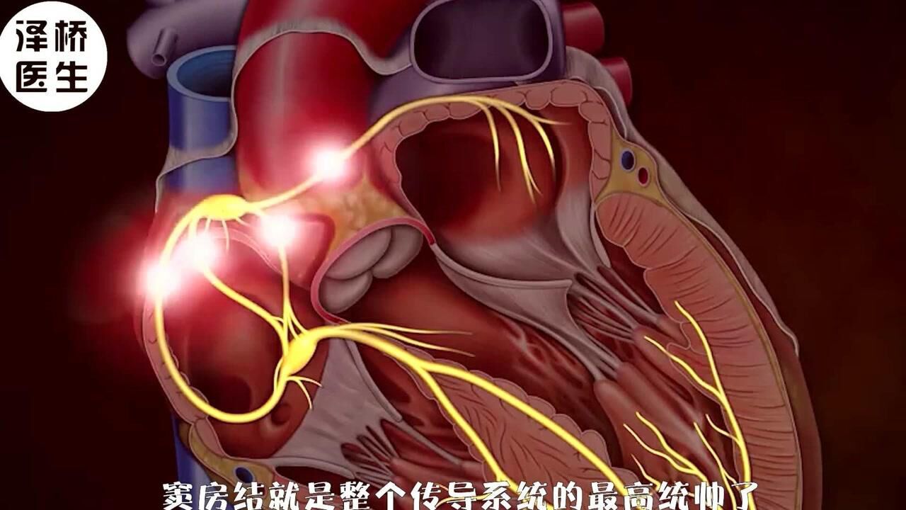 每次体检看不懂心电图报告?看视频教你,零基础都能懂!