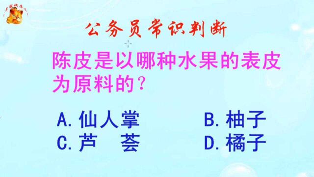 公务员常识判断,陈皮是以哪种水果的表皮为原料的?长见识啦