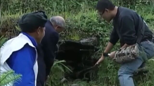 山村里的奇怪习俗,老人生了重病,竟直接送进坟墓里自生自灭