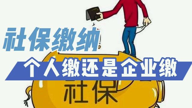 社保个人缴纳和企业缴纳有啥区别?省钱和保障各有优势,别乱选#财经热榜短视频征集#