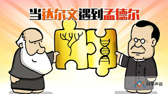 奠基生命科学:达尔文的进化论与孟德尔的基因论,为何缺一不可