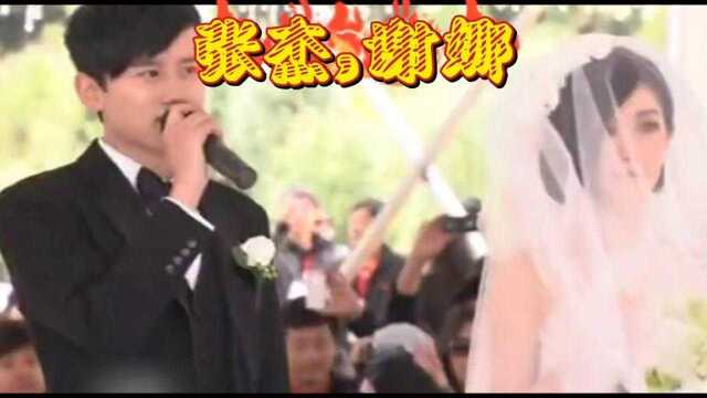 张杰晒与谢娜牵手合照庆结婚十周年,评论区杰娜cp粉丝举动太暖心娱