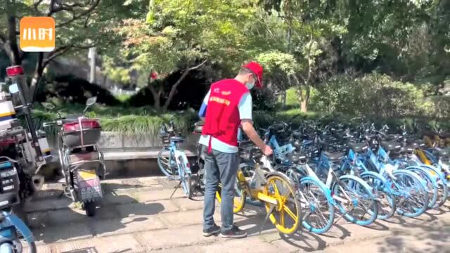 骑行游西湖的人多了,“红马甲”重点管好共享单车,孤山路及北山路沿湖一侧都禁停哦