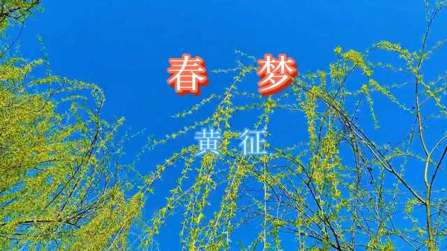 浪漫而温馨的歌曲《春梦》送给大家,希望能喜欢