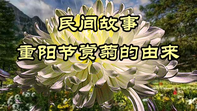 民间故事 重阳节赏菊得由来