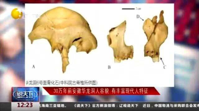 30万年前安徽华龙洞人容貌,有丰富现代人特征