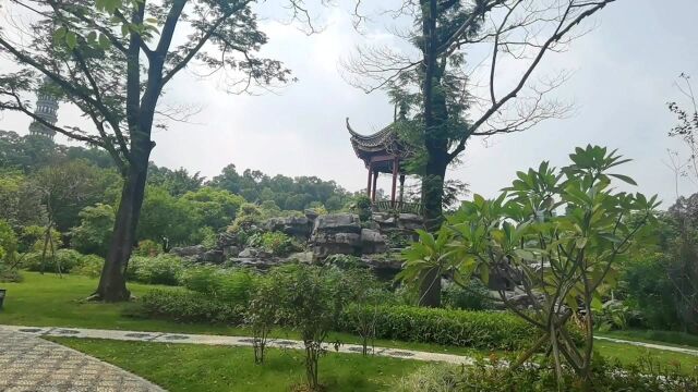 佛山旅游之顺峰山公园假山上的美景