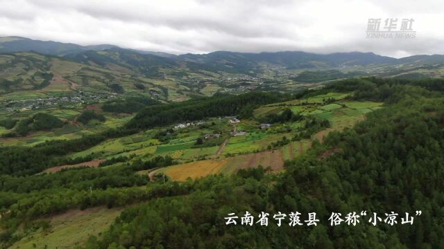 索玛花开幸福来——小凉山巨变记