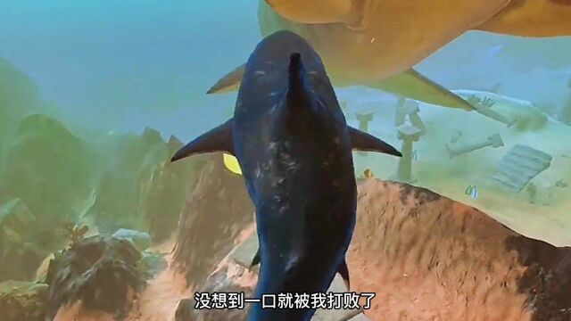 海底大猎杀,挑战海洋霸主邓氏鱼,能不能成功就看这一下了