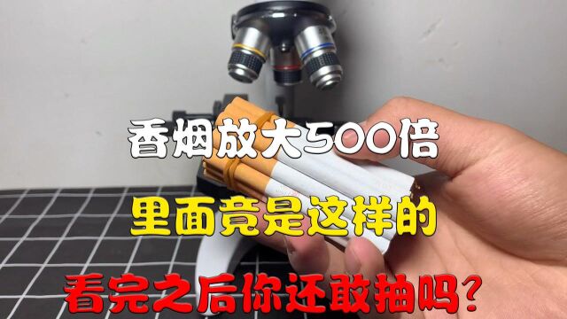 香烟放大500倍,里面竟是这样的,看完之后你还敢抽吗?