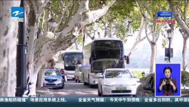 细心!杭州西湖景区行道树挂上“一对一”限高牌