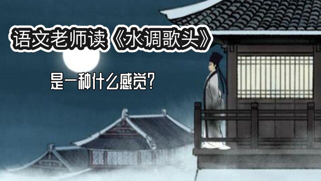 语文老师读苏轼的《水调歌头》是一种什么感觉?