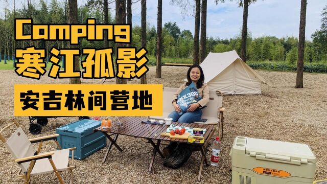 秋日汽车Glamping,自驾安吉溪畔营地包场,杉树林享受搬家露营