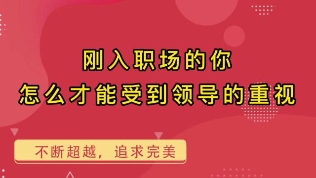 刚入职场的你,怎么才能受到领导的重视?