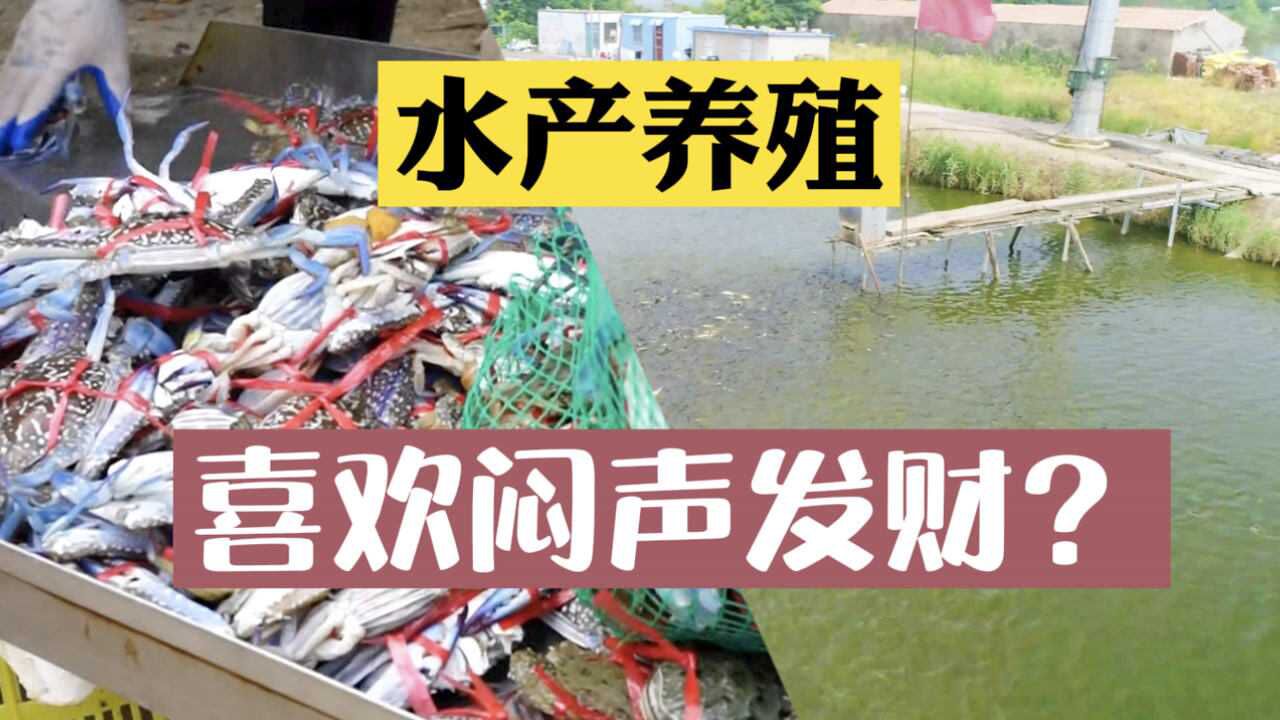 水产养殖不喜欢技术交流?有3个隐情,一线水产技术员有话说