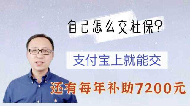 自己怎么交社保 ?支付宝上就能交!还有每年补助7200元!