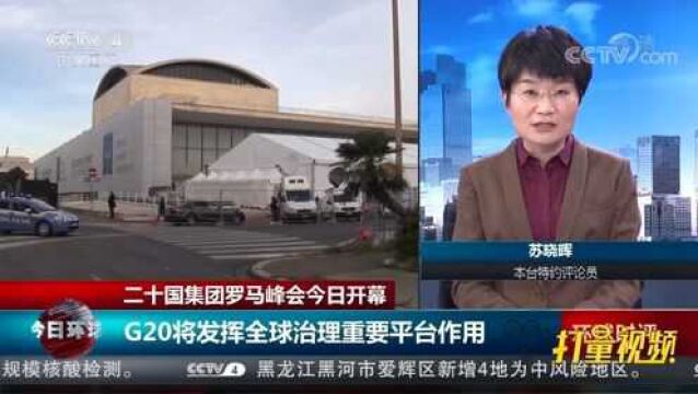 专家:G20将发挥全球治理重要平台作用