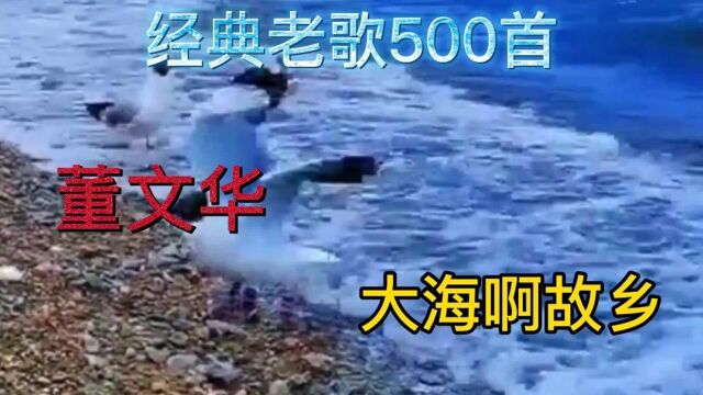 董文华经典老歌系列:大海啊故乡