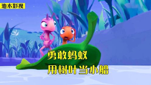 小蚂蚁用树叶当小船，在水面激流勇进，动画电影《勇敢蚂蚁》