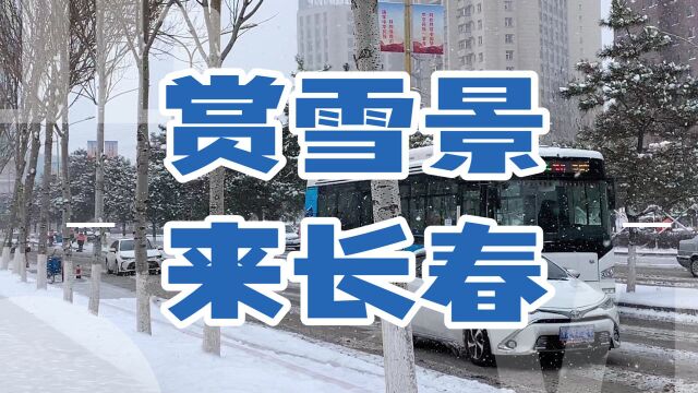 长春大雪第三天了,环卫工人幸苦的扫雪,欣赏一下雪花飘落的过程