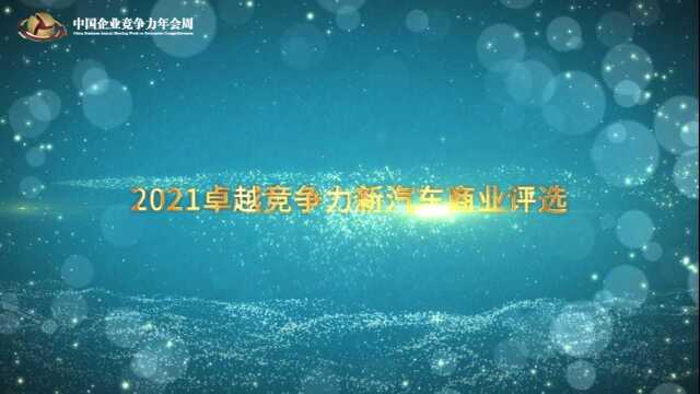 2021卓越竞争力新汽车商业评选 2021年度中国汽车杰出贡献人物奖 龙泉