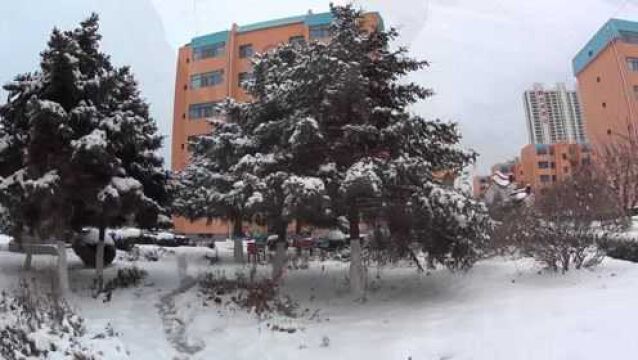 东北辽宁东戴河2021年立冬的第一场雪