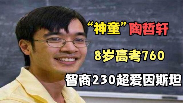 天才陶哲轩,8岁高考760,智商230超爱因斯坦,如今怎样了?