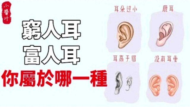 命理运势:耳朵不同命不同!“穷人耳”、“富人耳”,你属于哪一种?